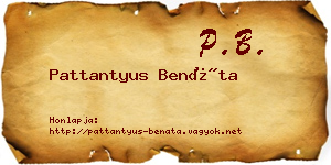 Pattantyus Benáta névjegykártya